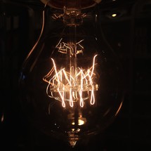 coils in a light bulb