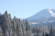 Mountains with snow and pine trees