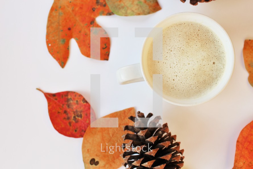 fall leaves around a latte 