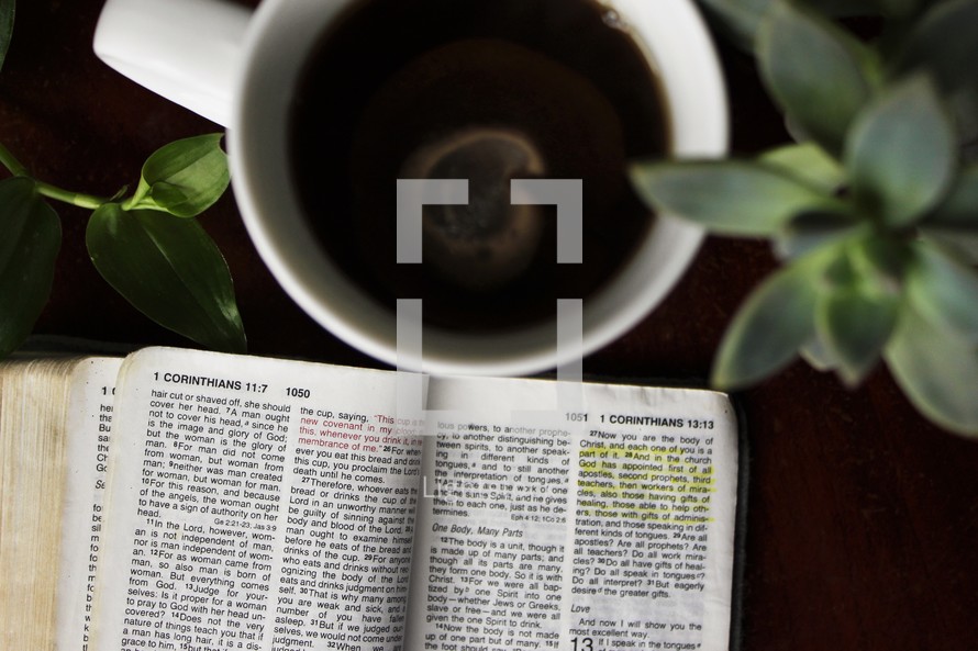 open Bible, succulent plants, and coffee cup 