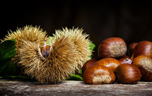 Chestnuts and chestnut bur on wooden table.