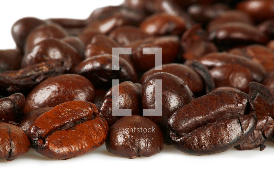 coffee beans on a white background 