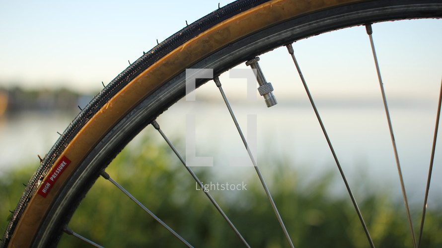 spokes on a bike wheel 
