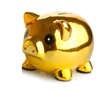 gold piggy bank 