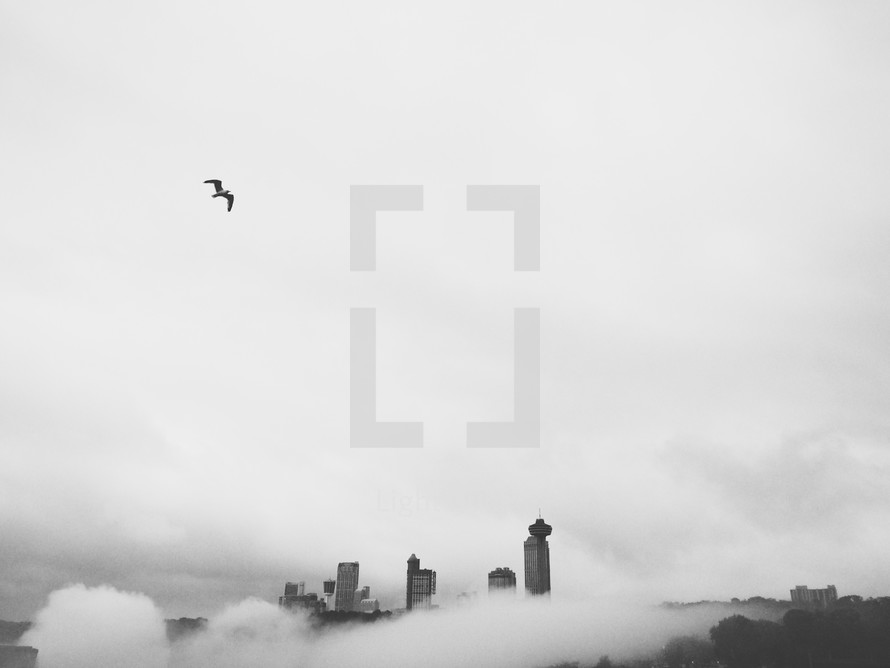 fog in a city and skyscrapers 