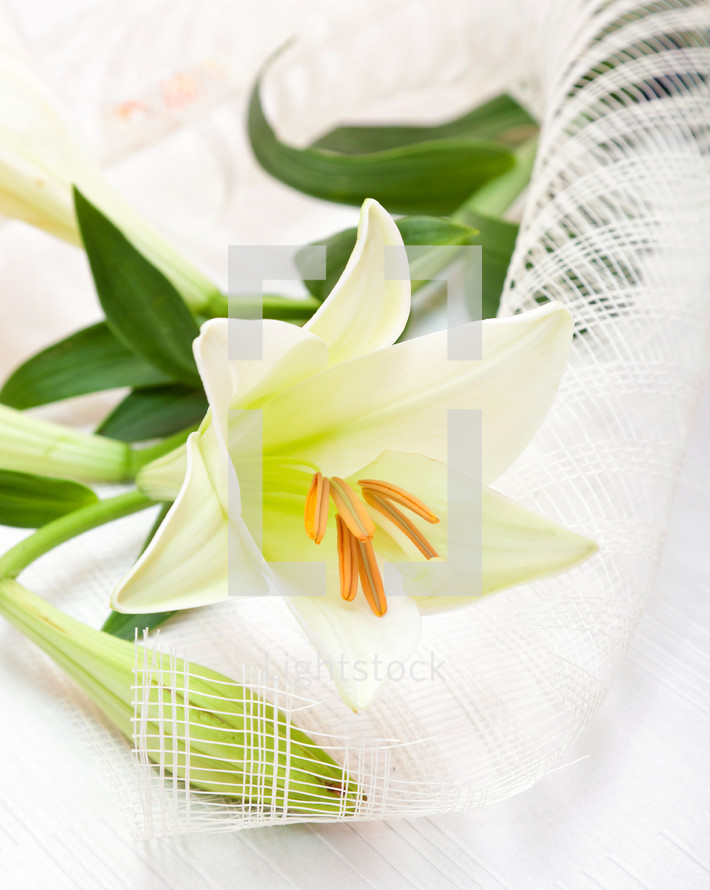 Beautiful white Easter lily flower bouquet, religious symbol of the first holy communion