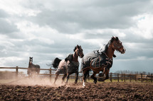 Horses running at a livery yard, equestrian centre, horse rug jacket
