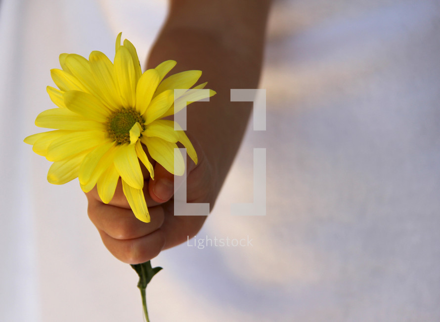 child holding a flower