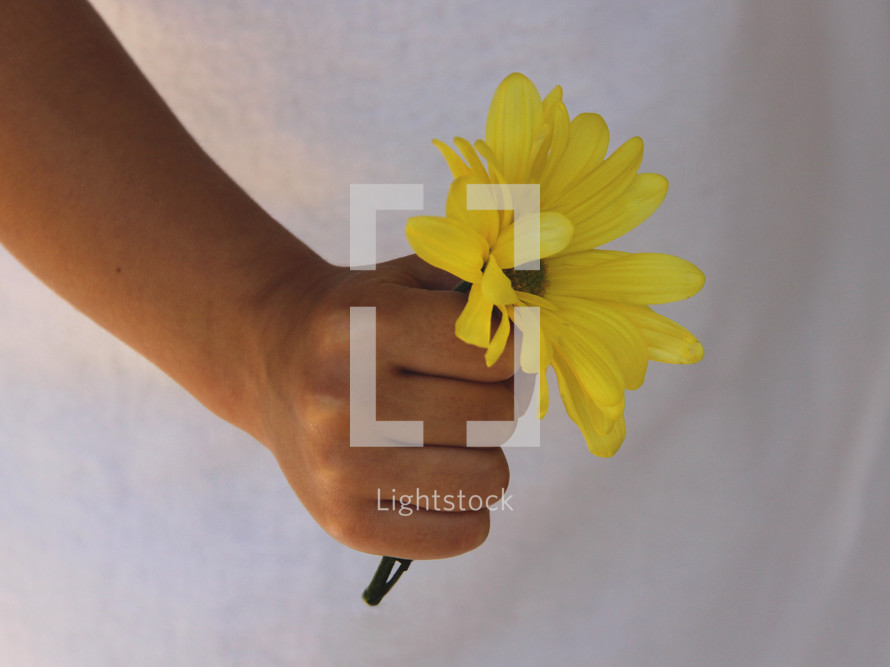 girl holding a yellow flower 