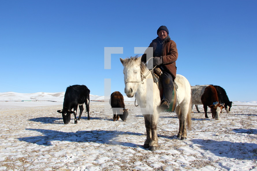 nomadic herdsman on a horse 