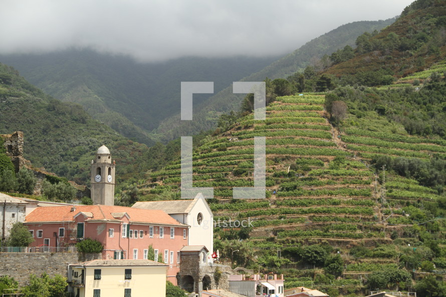 terraced slopes in front of Italian villas 