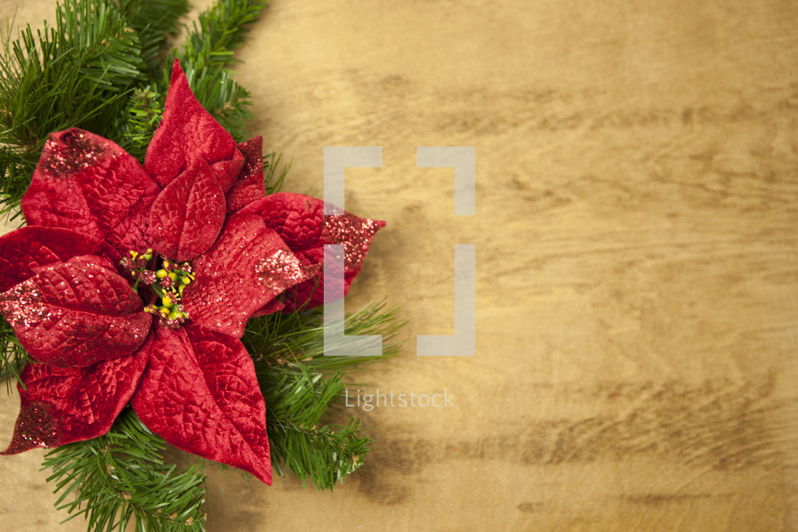 poinsettia and garland border on wood 