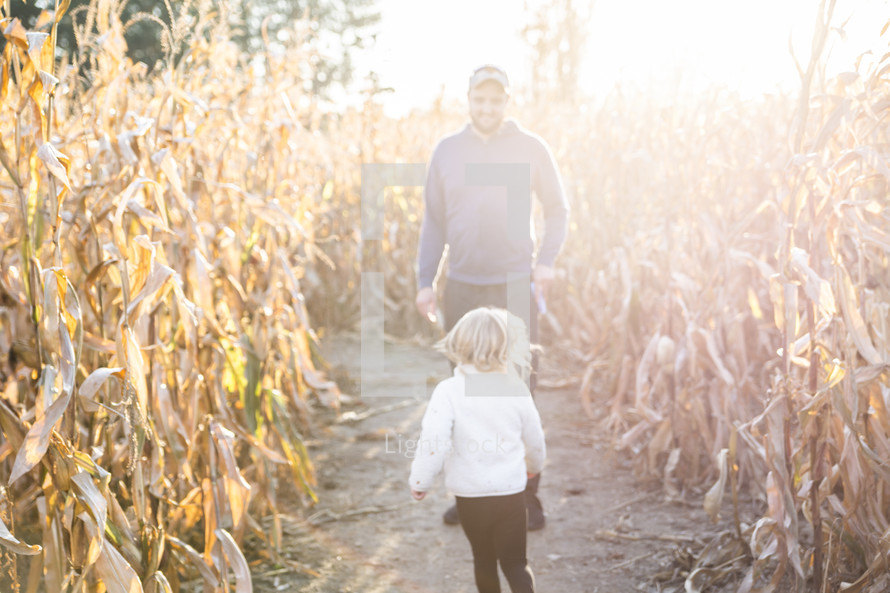 Daughter running to dad in corn stalks
