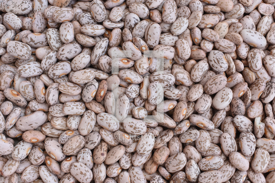 dried beans 