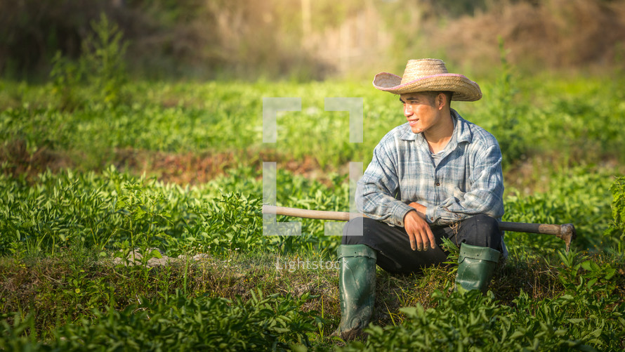 a farmer in a potato field 