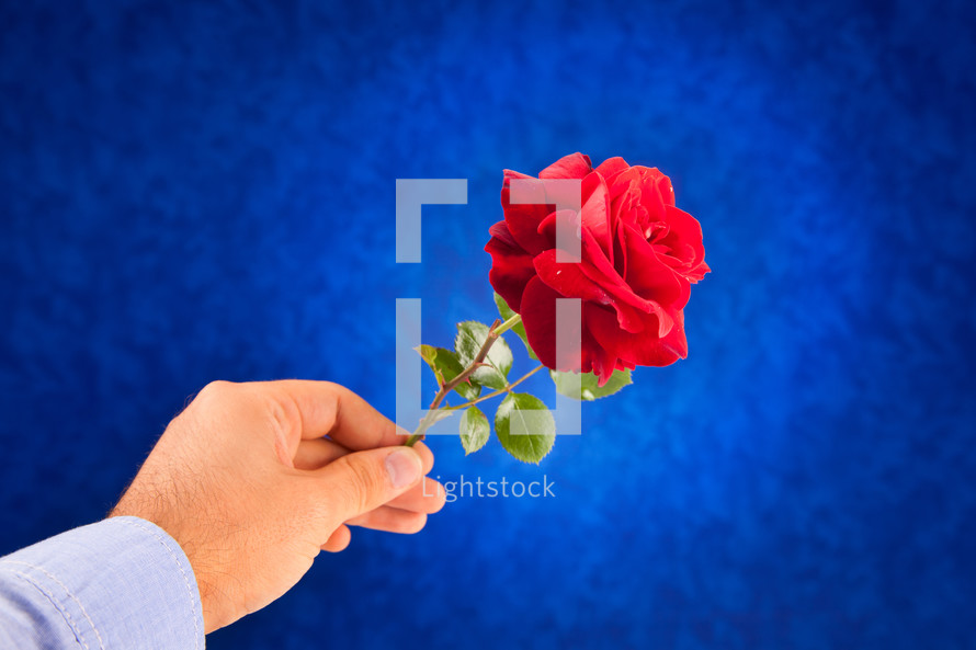 man giving a red rose 