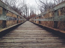 wooden bridge through a brown winter forest 