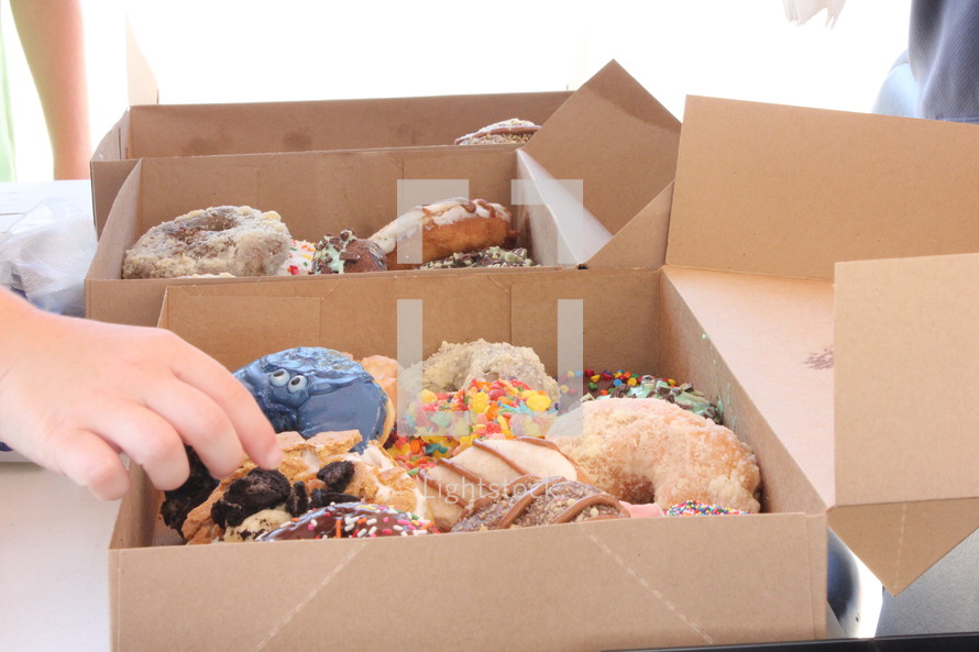 boxed of donuts 