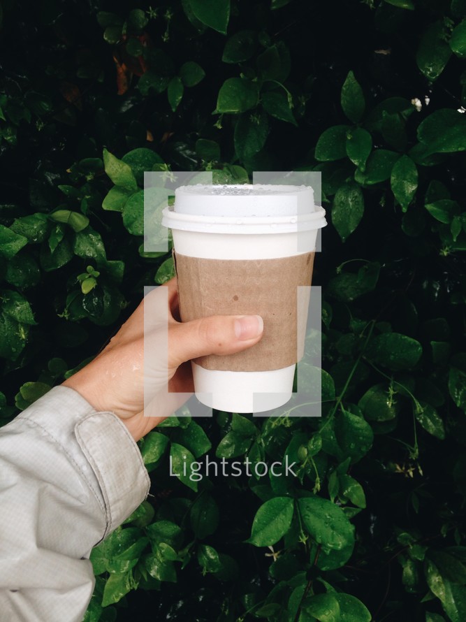hand holding a paper coffee cup 
