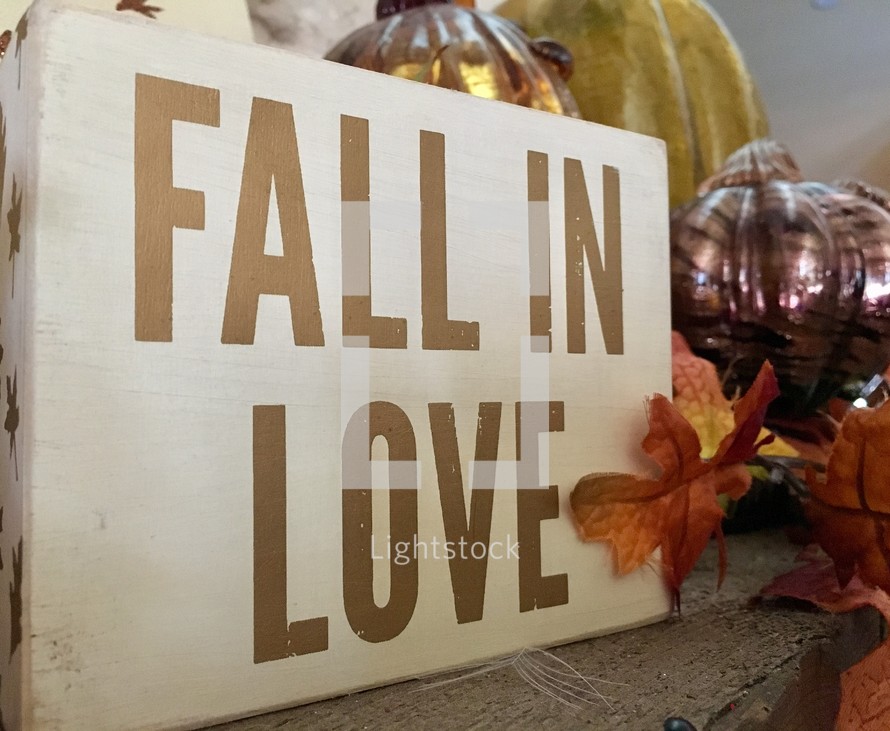 fall in love 