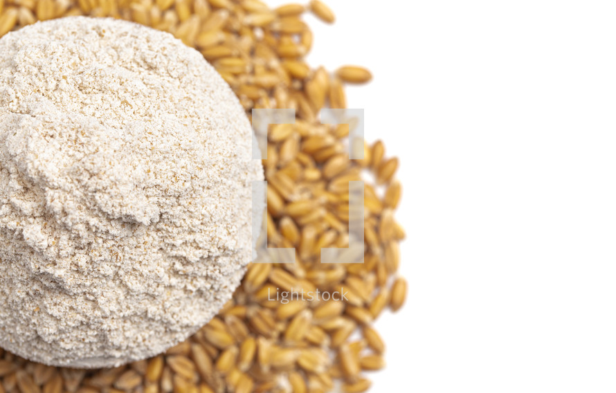 flour and grains on a white background 