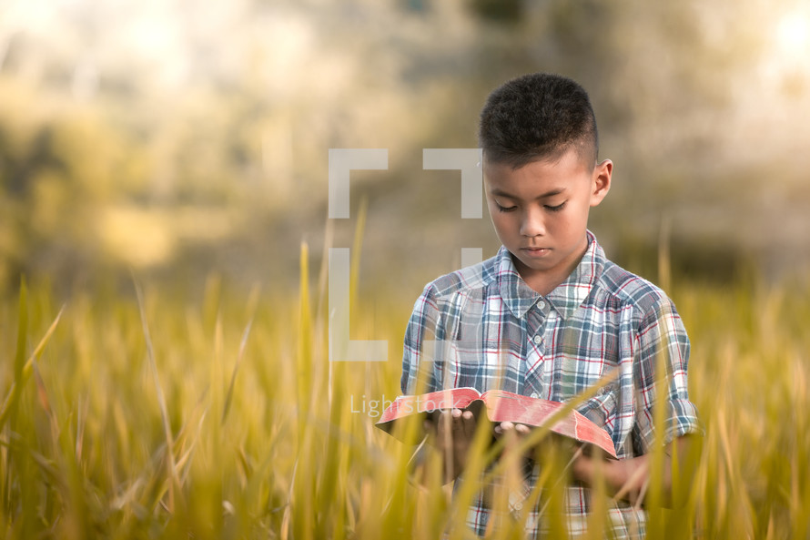 a boy reading a Bible in a rice field 