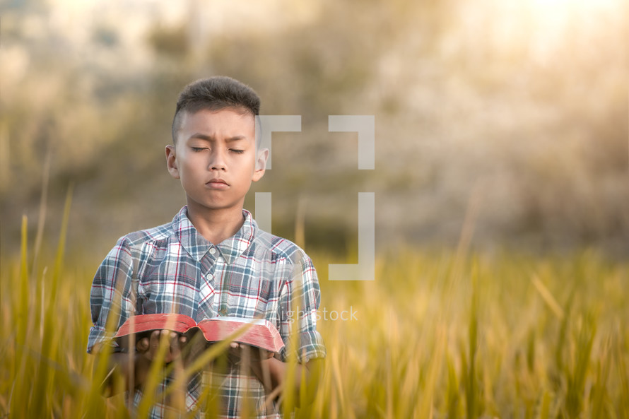 a boy reading a Bible in a rice field