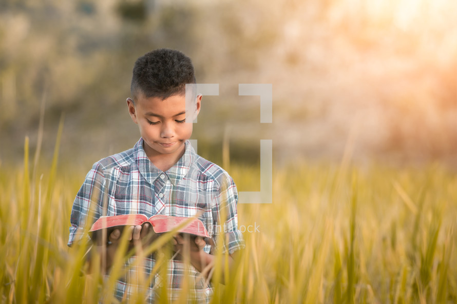 a boy standing in a rice filed reading a Bible 