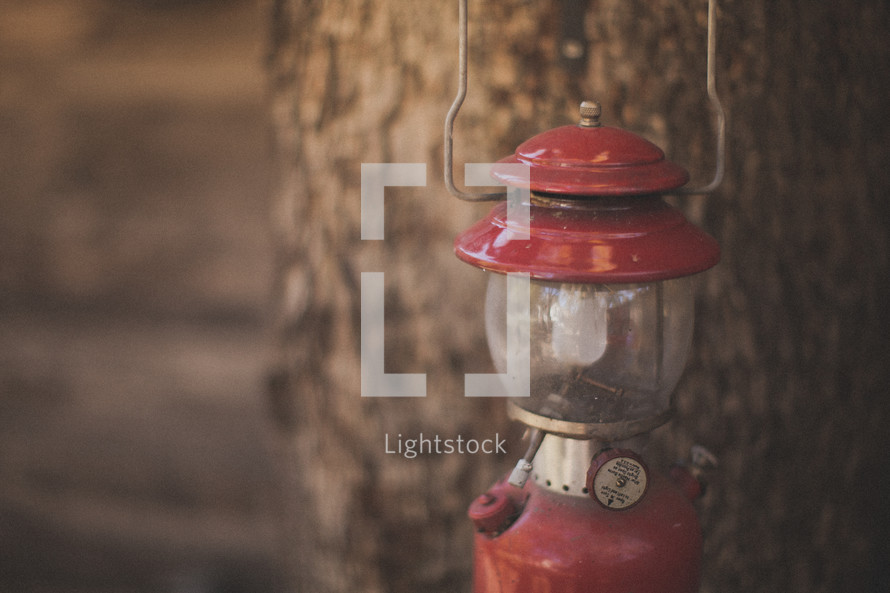 A red lantern in front of a tree