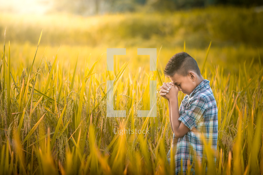 a boy praying in a rice field 