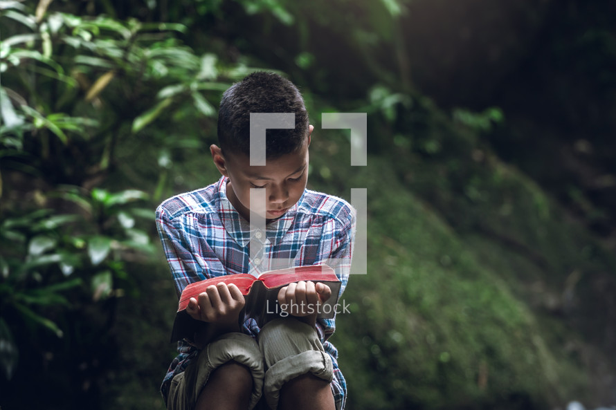 a little boy sitting in a forest reading a Bible 