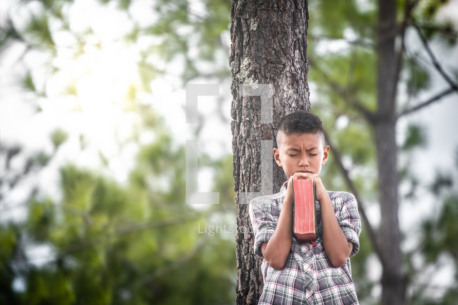 a boy reading a Bible outdoors by a tree 