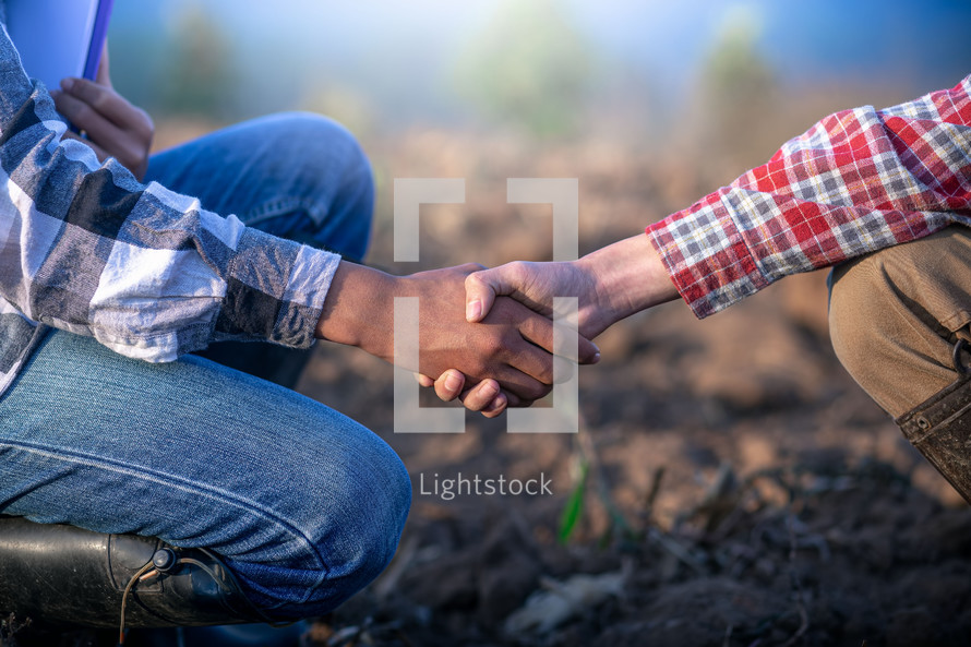 handshake in a field 