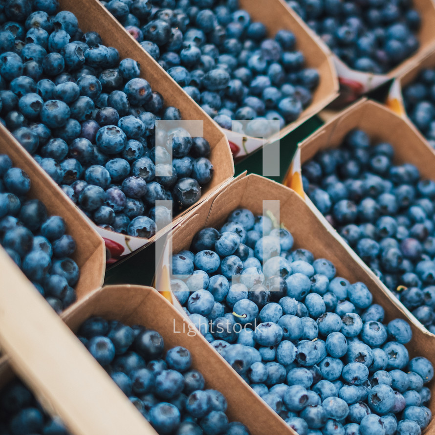 buckets of blueberries 