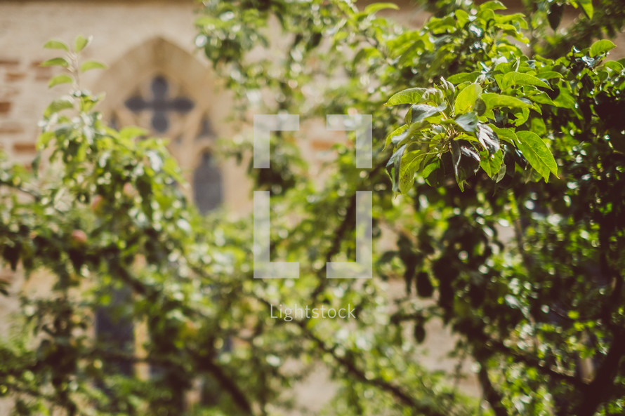 green leaves on branches and church window 