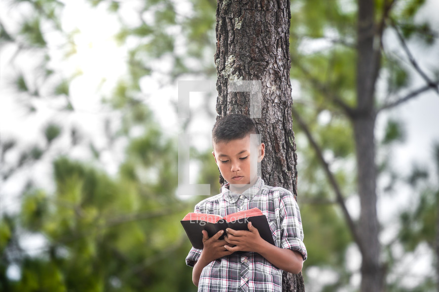 a boy reading a Bible in a forest 