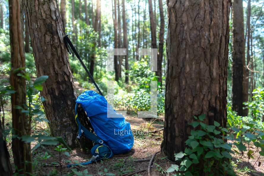 Backpack and hiking gear set placed on the floor in forest, Trekking and camping adventure.