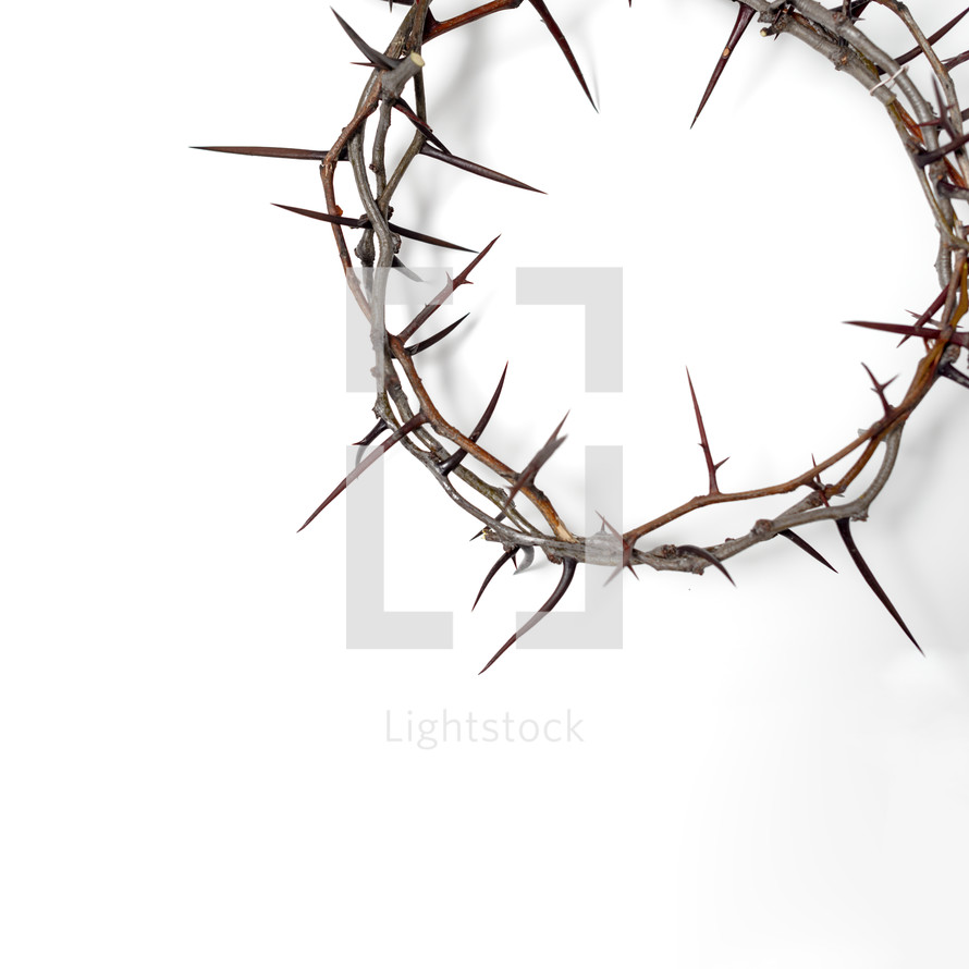 crown on thorns on a white background 