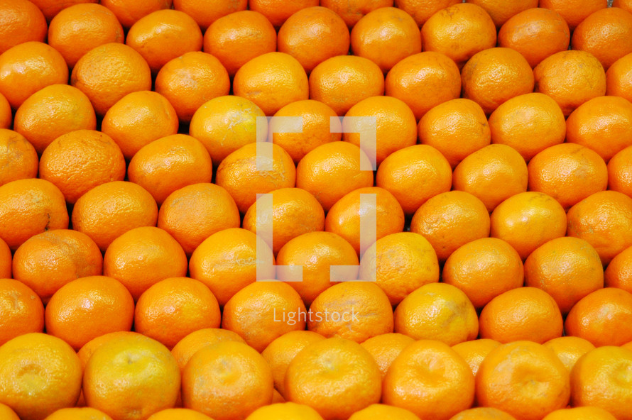 rows of clementines 