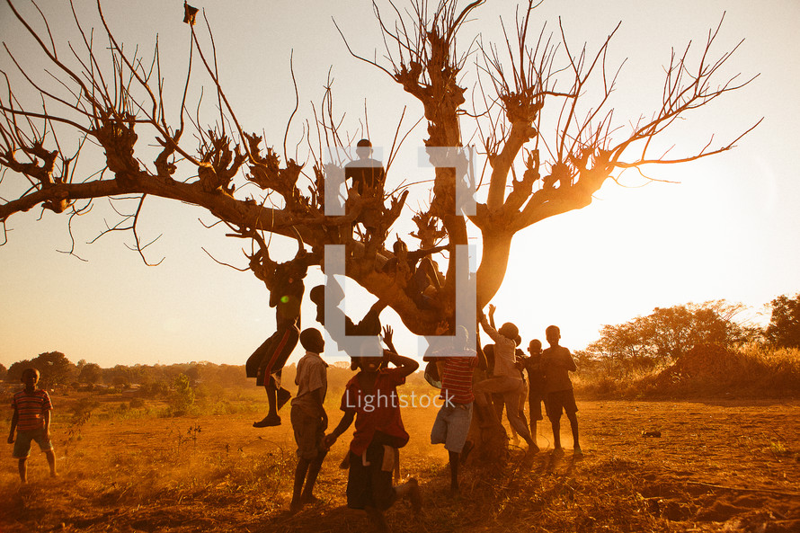 Children climbing a tree in Africa. 