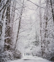 people walking on a snow covered road 