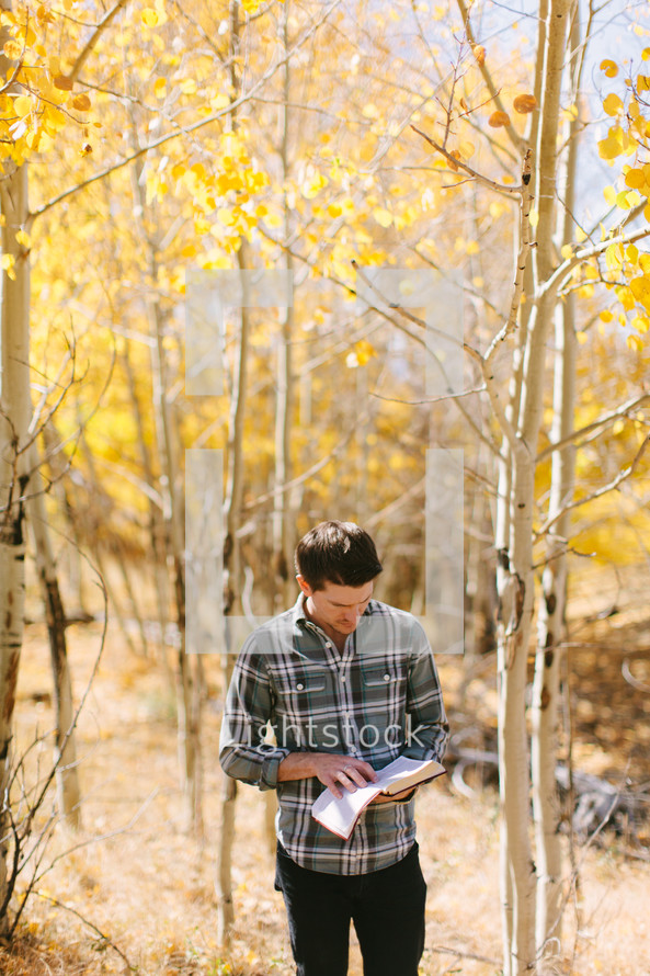 a man standing alone in a forest reading a Bible 