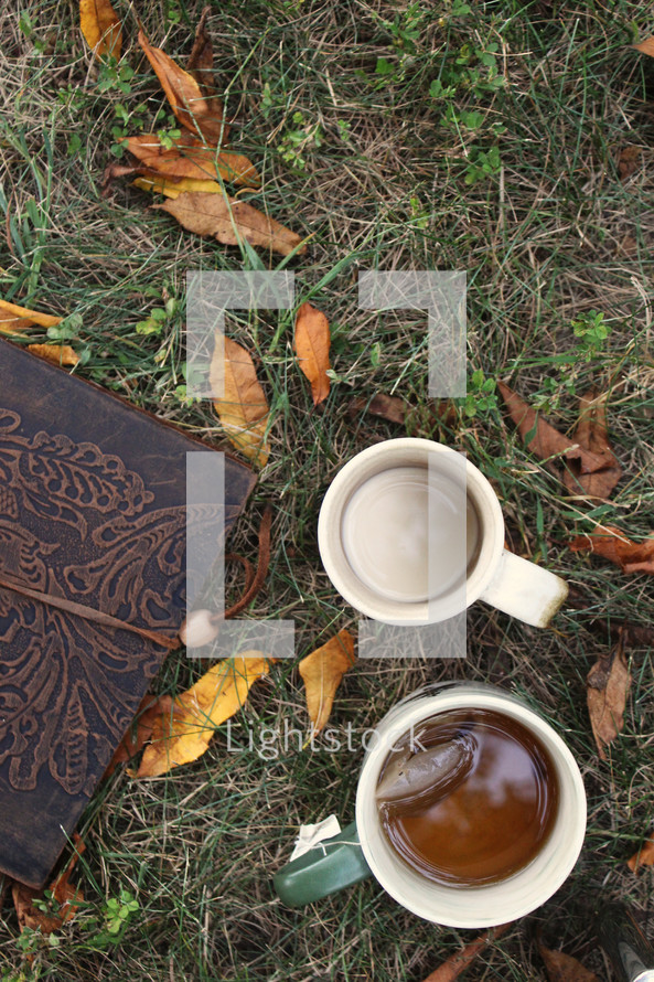 leather bound Bible and mugs in grass