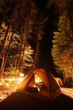 a tent in a forest at night 