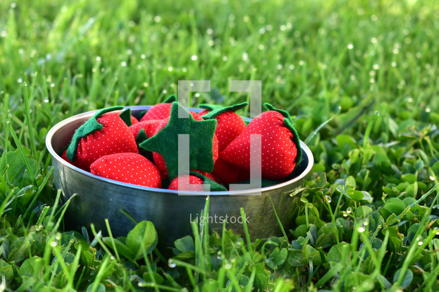 bowl of strawberries in clover 