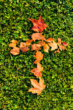 Autumn leaves forming a cross on the grass.