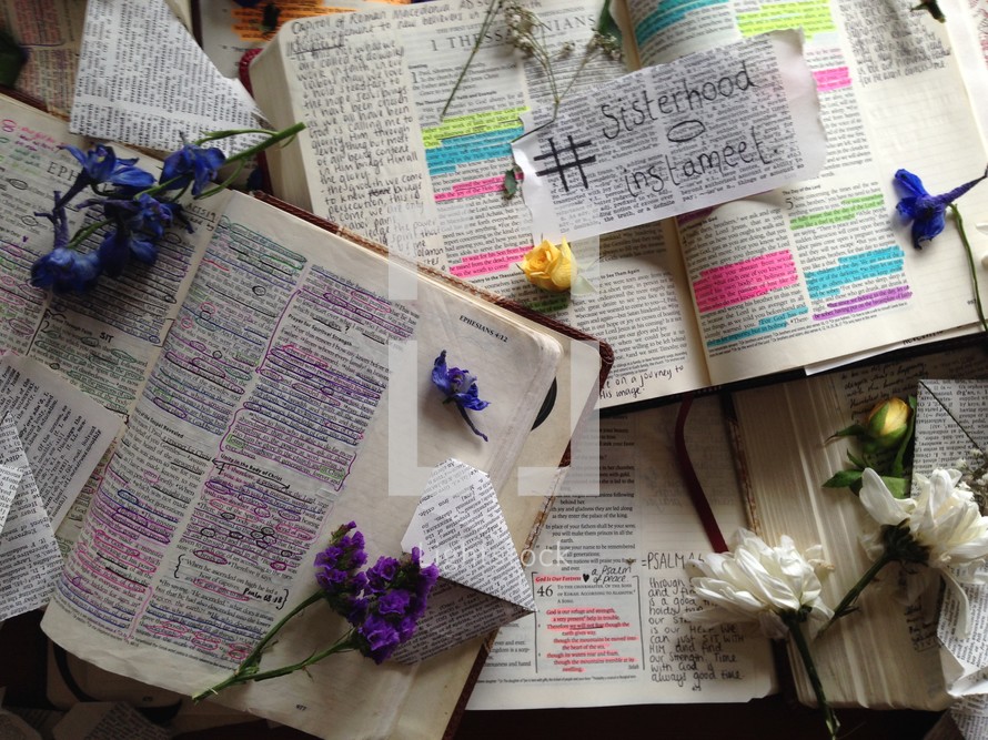 notes and flowers on the pages of a Bible 