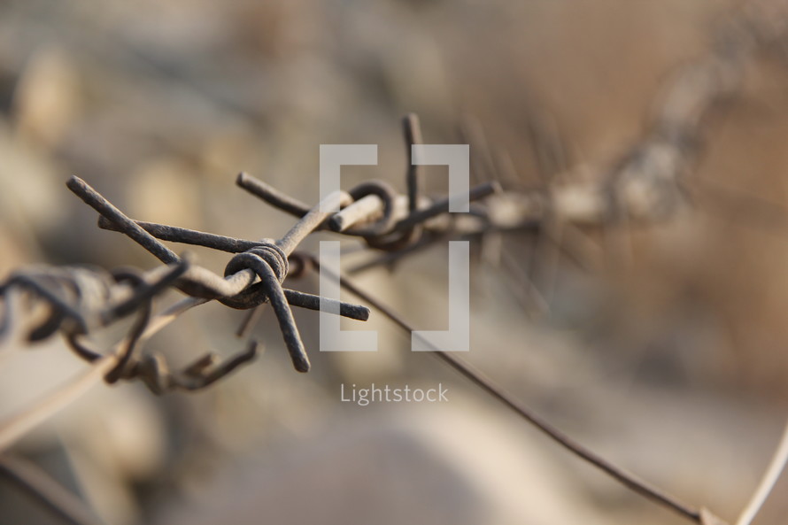 Strands of rusted barbed wire around a deserted prison complex