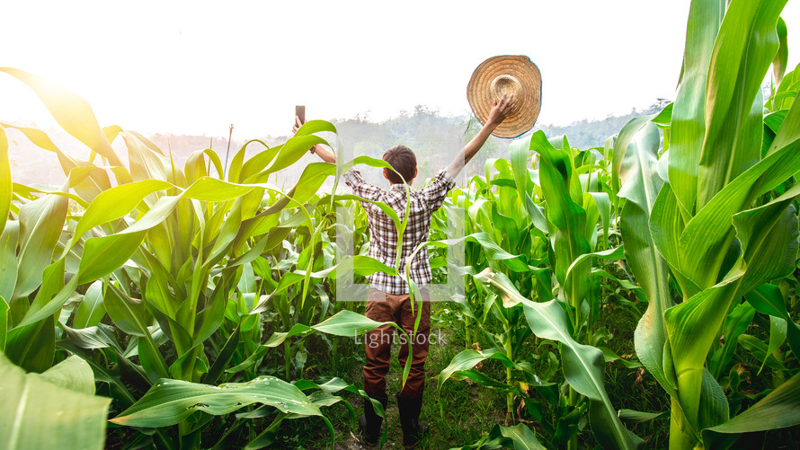 a farmer in a corn field with hands raised 