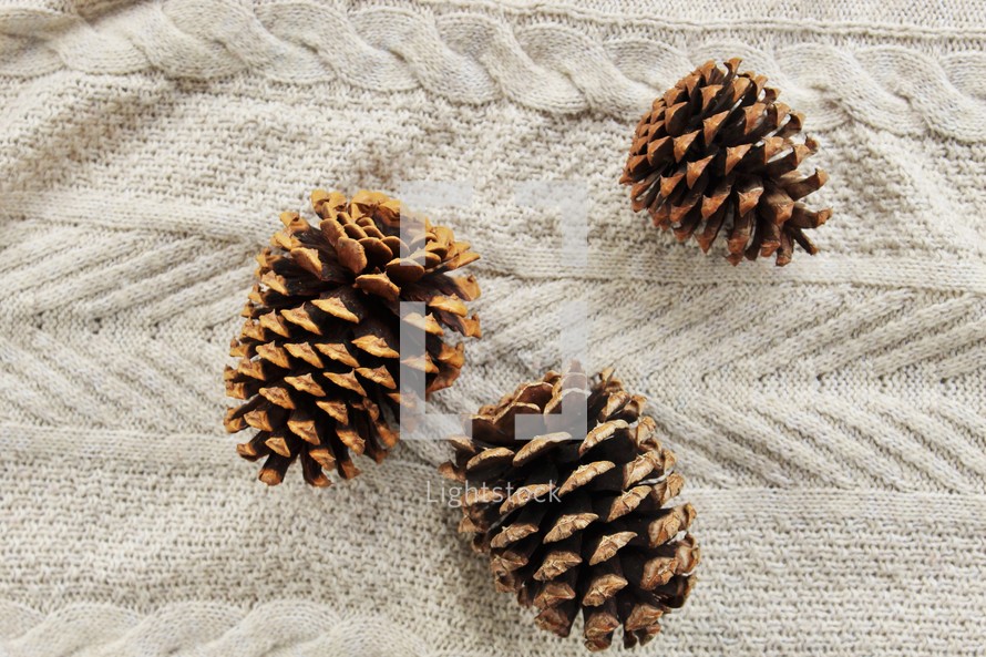 pine cones on a blanket 